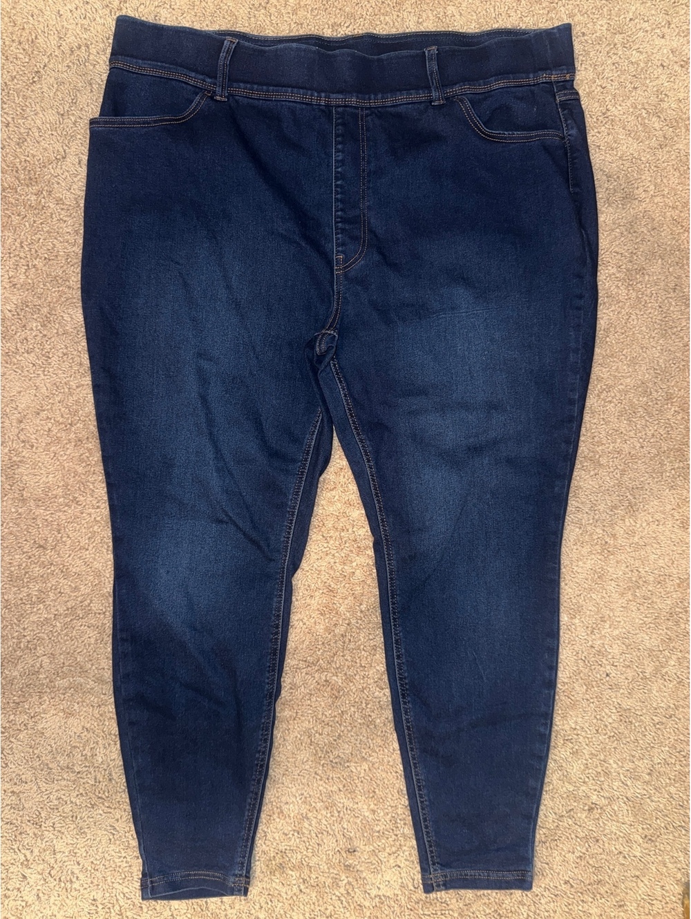 Terra & Sky Dark Blue Skinny Jeans Size 2X